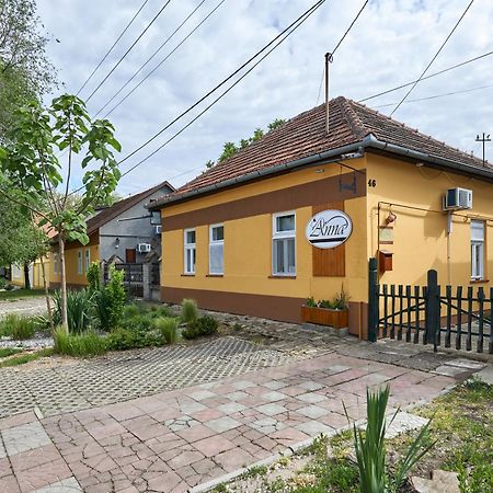 Ana Guesthouse Senta Exterior photo