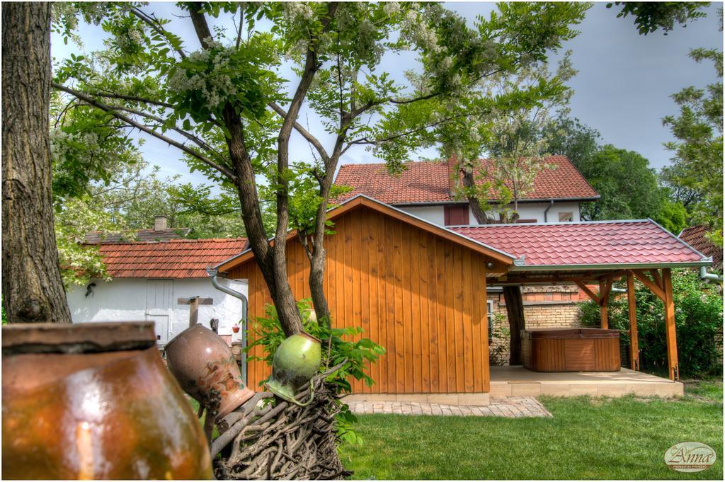 Ana Guesthouse Senta Exterior photo